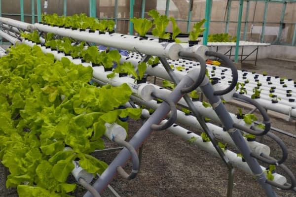 Catálogo de bombas de agua